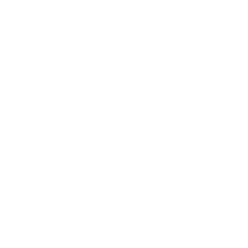 BazaarBlink